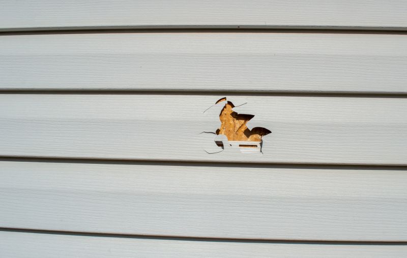 Vinyl Siding Repair - Damage Assessment
